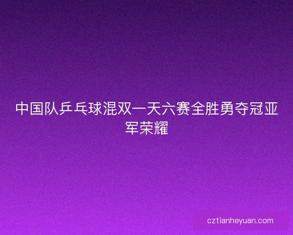 中国队乒乓球混双一天六赛全胜勇夺冠亚军荣耀