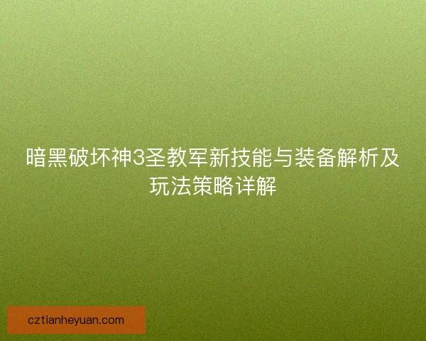 暗黑破坏神3圣教军新技能与装备解析及玩法策略详解