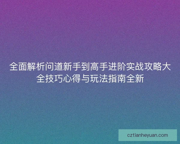 全面解析问道新手到高手进阶实战攻略大全技巧心得与玩法指南全新