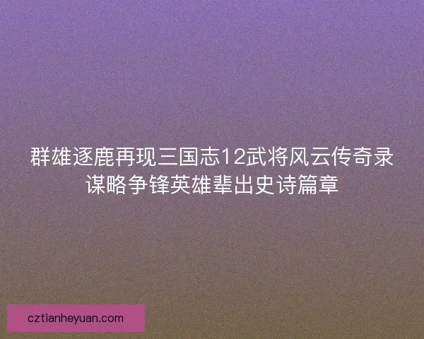 群雄逐鹿再现三国志12武将风云传奇录谋略争锋英雄辈出史诗篇章