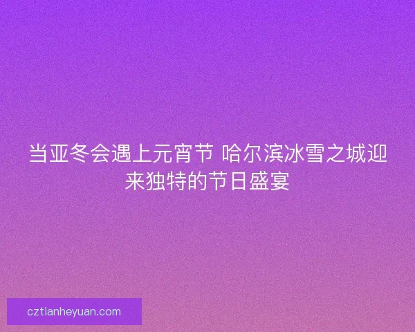 当亚冬会遇上元宵节 哈尔滨冰雪之城迎来独特的节日盛宴